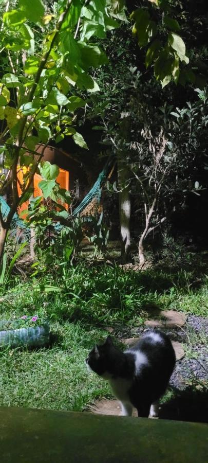 Tenda Da Lua Alto Paraíso de Goiás 외부 사진