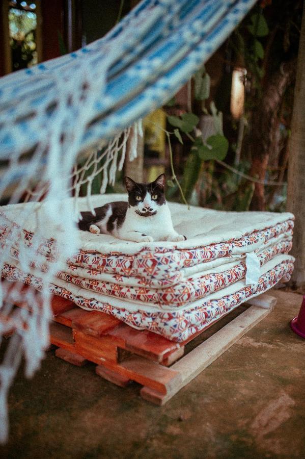 Tenda Da Lua Alto Paraíso de Goiás 외부 사진